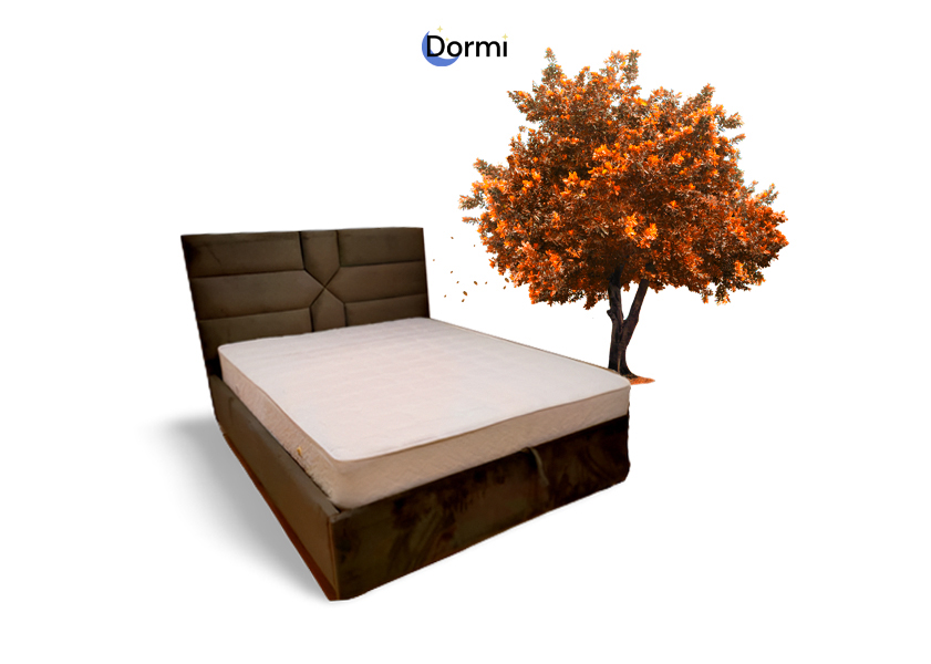 Pat Pandora Dormi.md