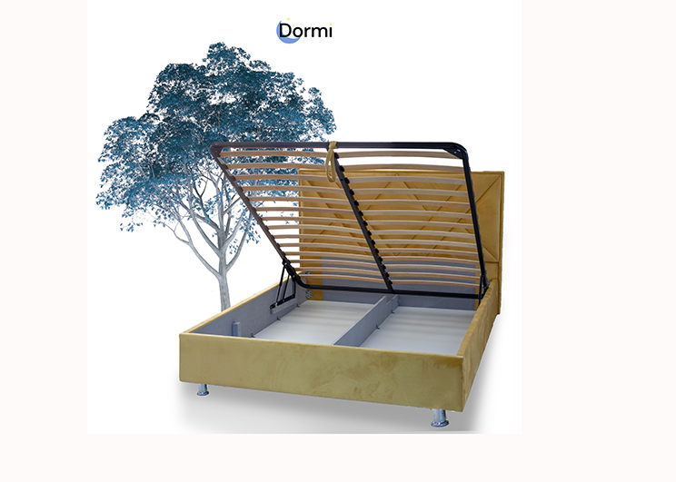 Pat Avangard Dormi.md