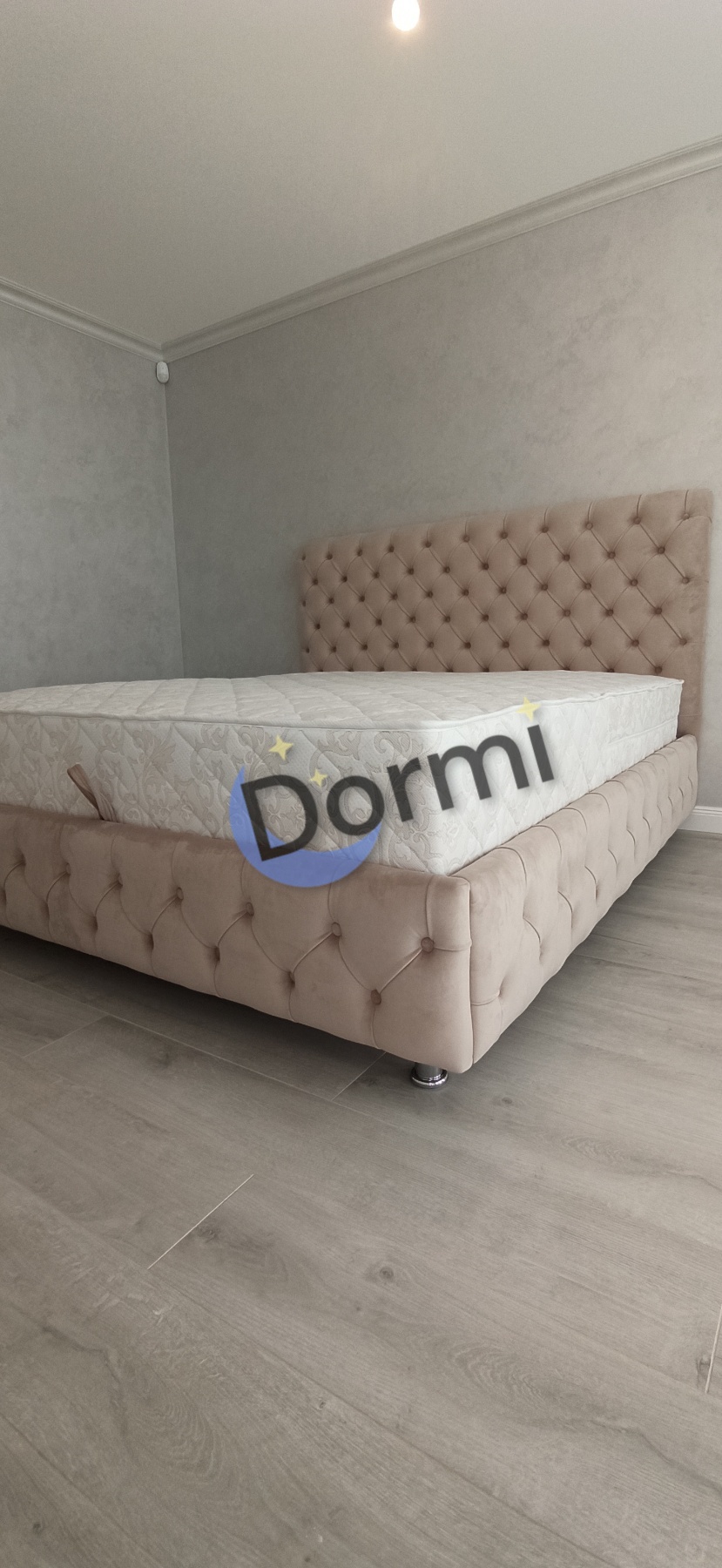 Pat Tiffany lux dormi.md