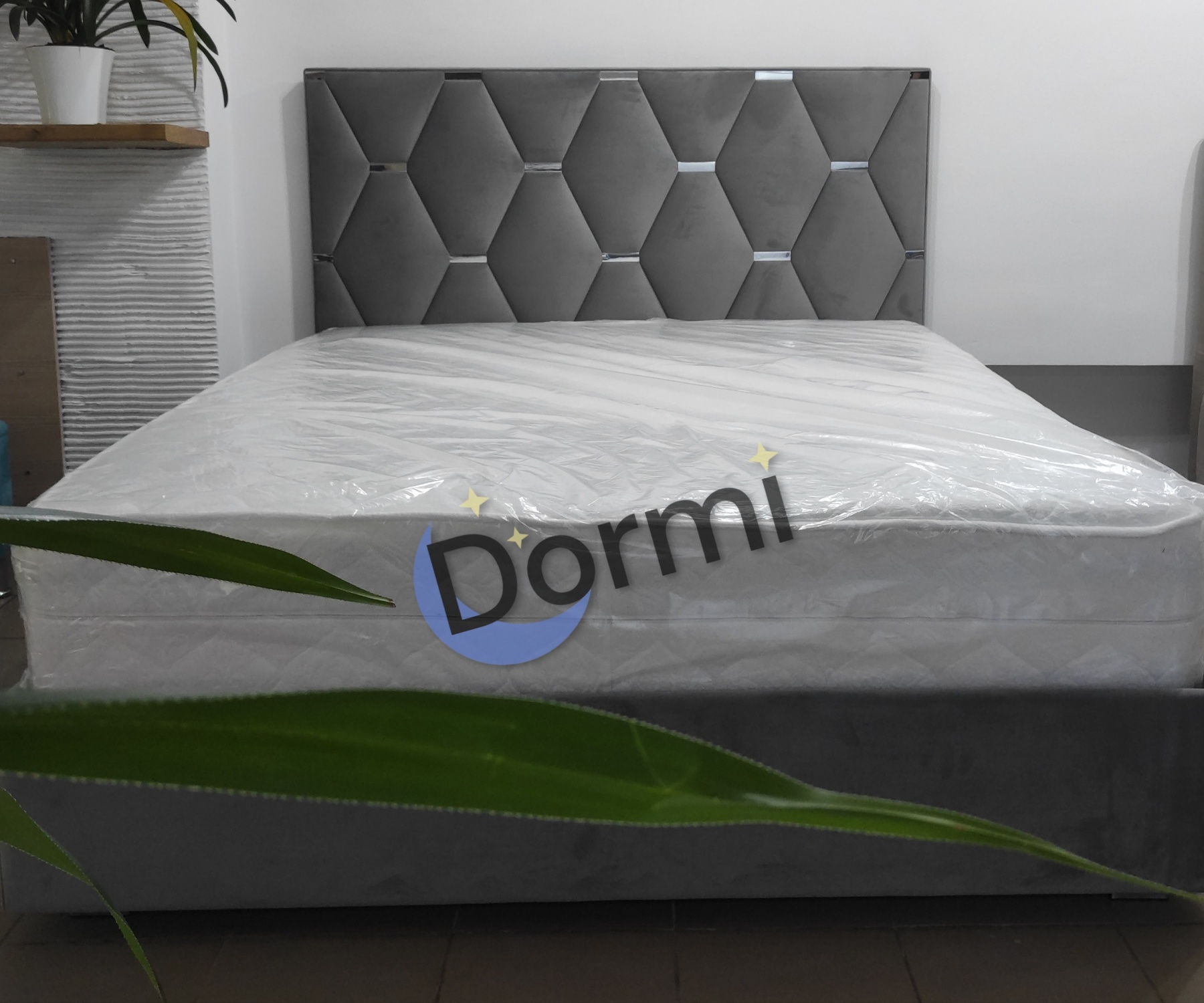 Pat Venezia dormi.md