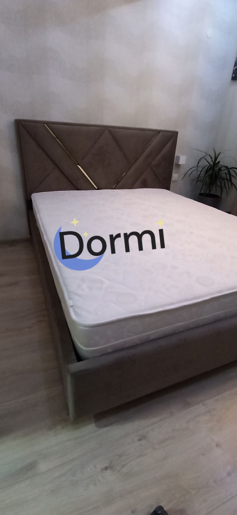 Pat Avangard lux dormi.md