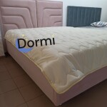 Pat Flamingo dormi.md