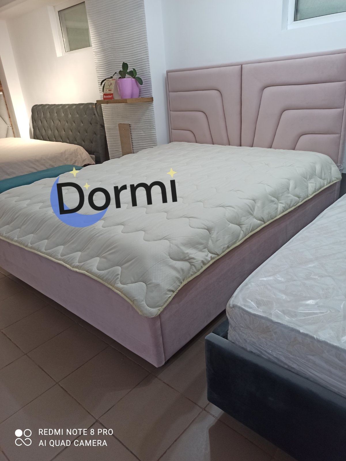 Pat Flamingo dormi.md