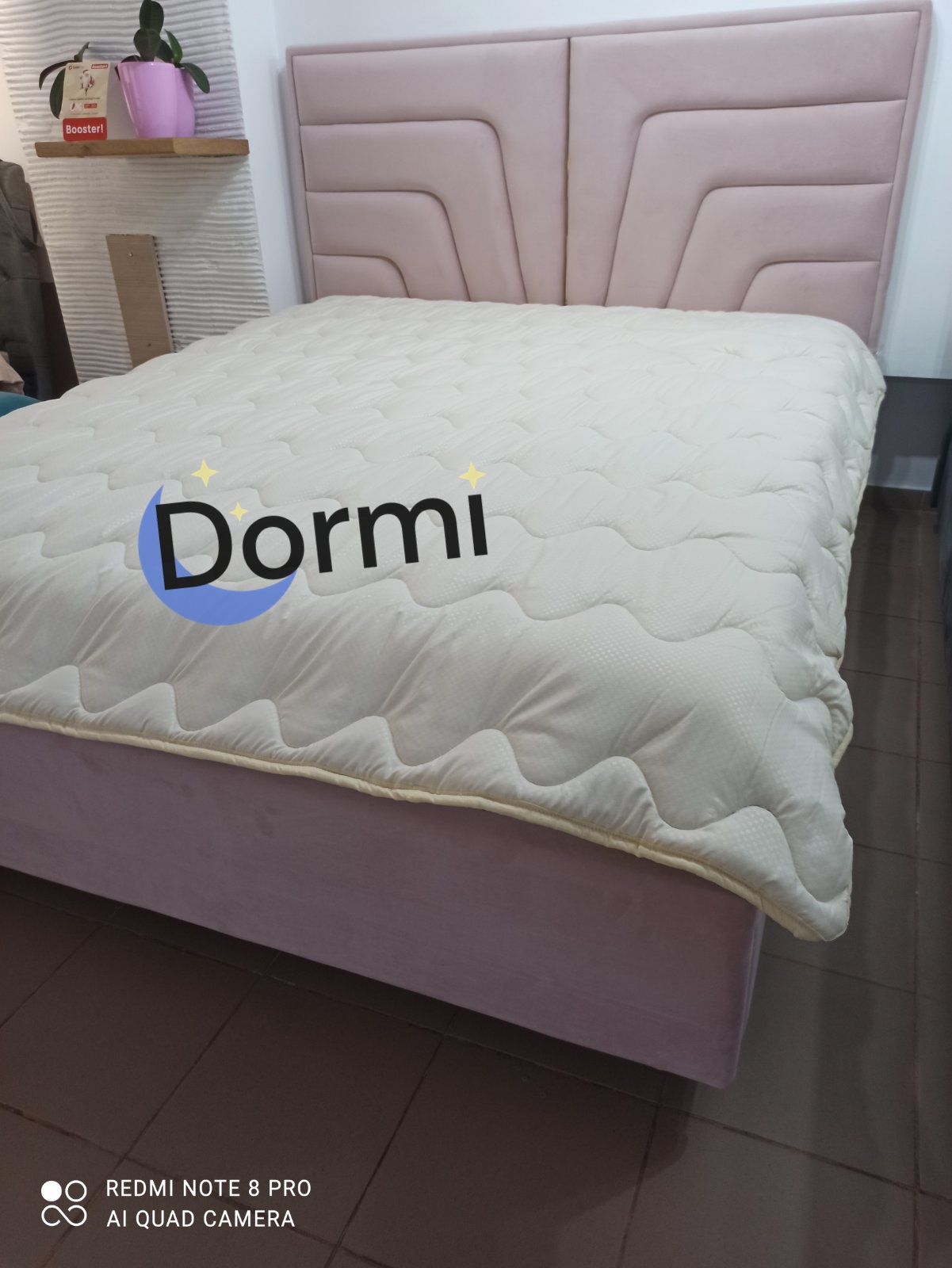 Pat Flamingo dormi.md