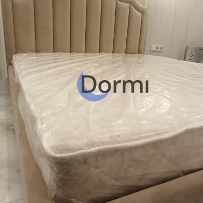 Pat Exclusiv dormi.md