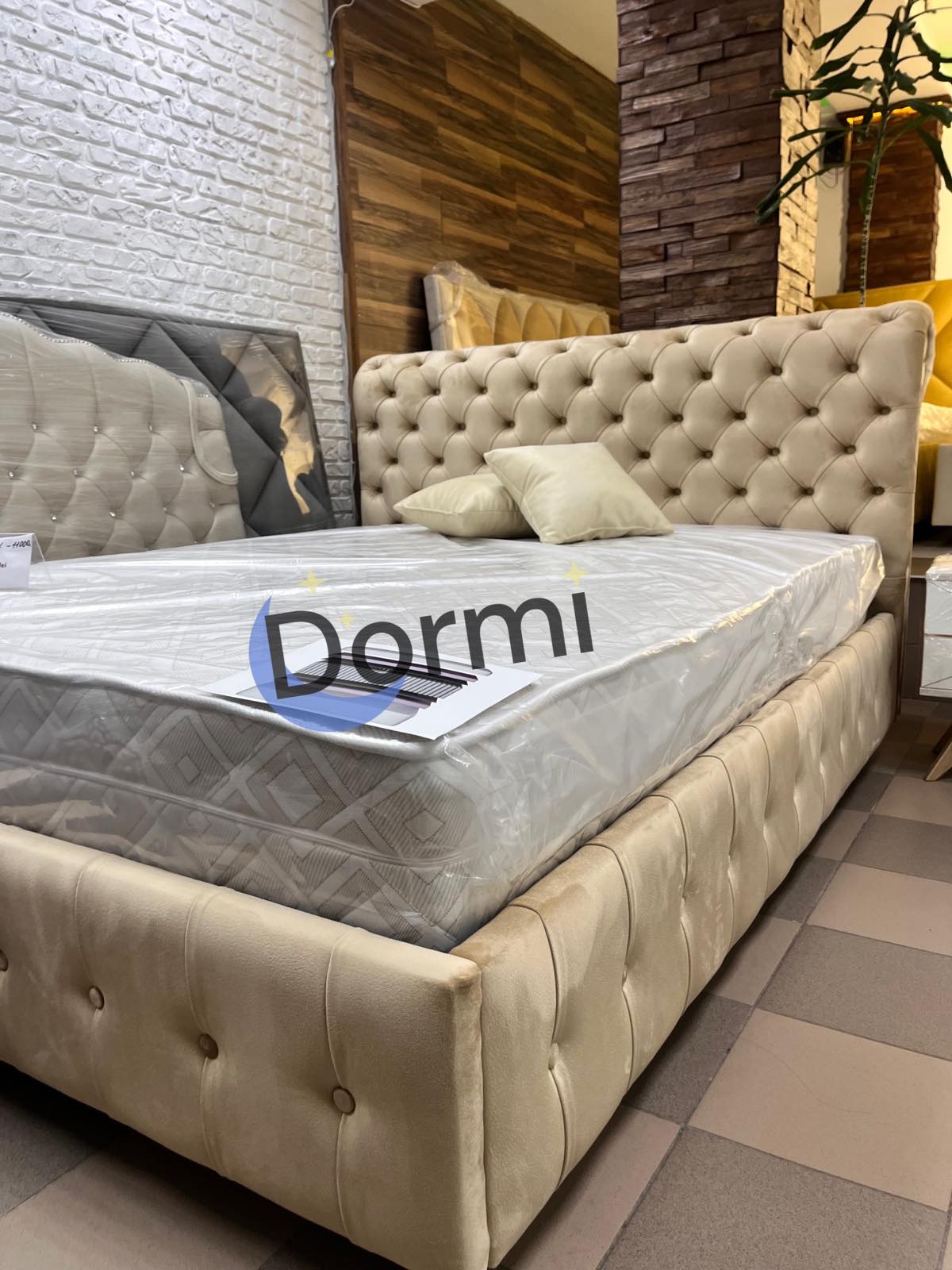 Pat Tiffany lux dormi.md